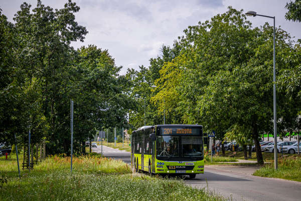 653 / FG 4896H | MAN A26 Lion's City LL NL 363-15 | Miejski Zakład