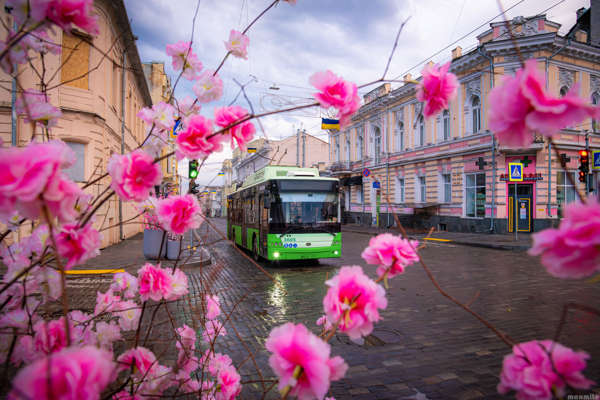Транссексуалдардың жыныс мүшелерінің порно фотосуреттерін қараңыз
